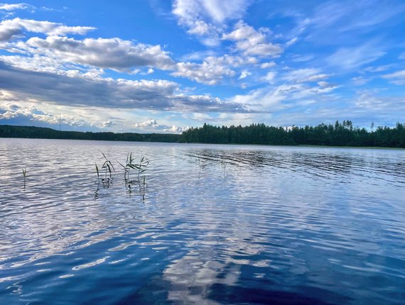 Wieniä! Festival as part of New Festival X, Mikkeli, June 25-28, 2025